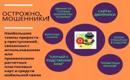 ПРОФИЛАКТИКА ДИСТАНЦИОННЫХ ПРАВОНАРУШЕНИЙ